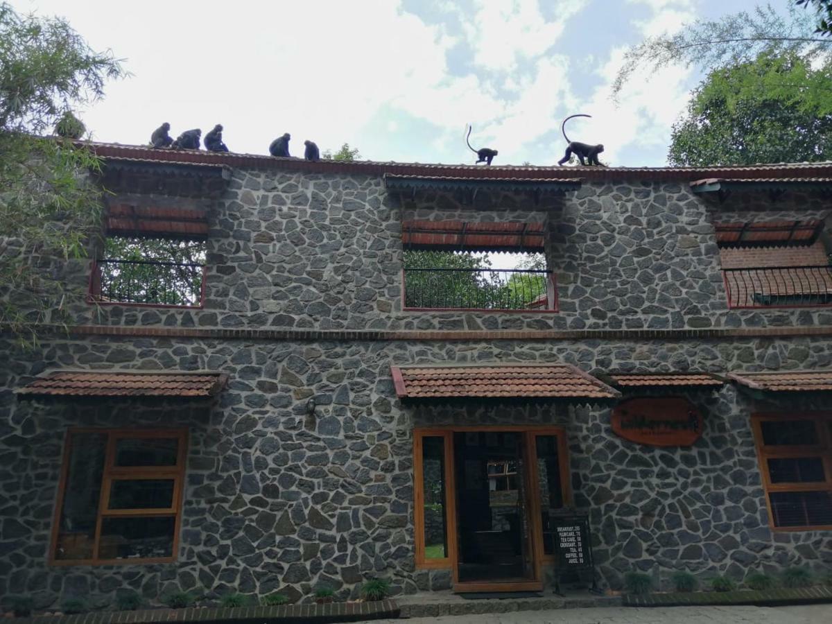 Wildernest Bed & Breakfast Thekkady Exterior photo