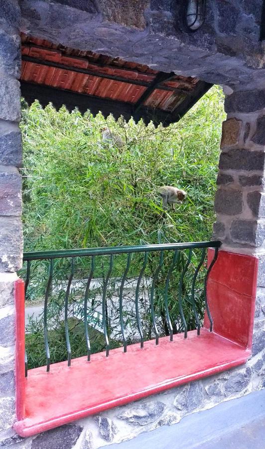 Wildernest Bed & Breakfast Thekkady Exterior photo